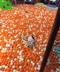 ����ͺ���������