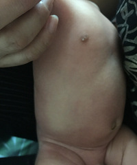 �������ϳ���һ���׵��