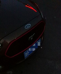 ����Ұ��