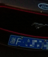 ����Ұ��