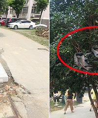 ����С������ �е㡰ʹ��