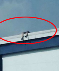 һ���� ���·����Ҫ��¥��