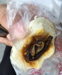 ���ģ��������˴Ӱ�����Գ�һ��ֻ��������� ��