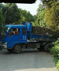 �ϳͣ�����������Ÿ�����· һ��������Ȼ��·�ߺ��ﵹ����