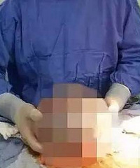 32������غ�賤��20cm����������ֻ�����赱������