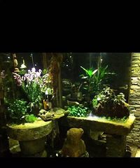 ʯ����ˮ��