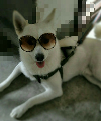 ��Ҳ������