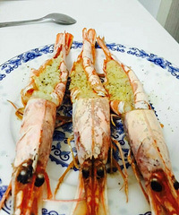 �ҿ����ൺ��Ϻ  ֵ38һֻ��