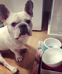 ���������ʤ�͵�ͬ���� �Ա�һ�龹�ǹ��裡