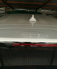 ��С�ϵ�β��