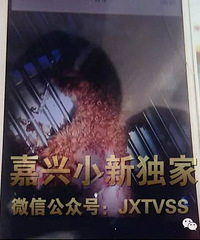 δǣ��������ҧ��̩���߹� ҽҩ�ѻ���5ǧ���������˳ƶԷ��Ƕ�թ