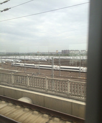 �ð�����ͣ����