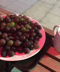 �Բ�������