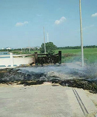 �����Ż����ţ����������Ϲ�Ԣһ���ž������ջ�