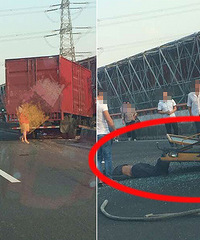 ��07ʡ�������ײ��С���� �ֳ����ң�