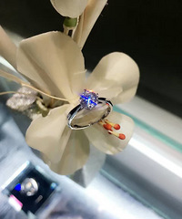 ����˹�������ռ�֮ɹ��䡿���ǵ�1130