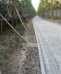 ���ߡ���