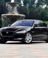 ����ݱ�XFL���� ȫ�¹����ݱ�XFL�ۼ�38.8-68.8��Ԫ