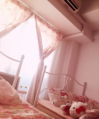 ����Ӱ�� ɹ��