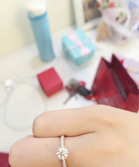 �鲩���϶������� �����õ�����