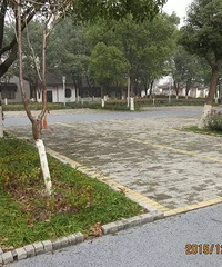 ��ϵ������������������ĺ�����и��� ����������֪���ģ�