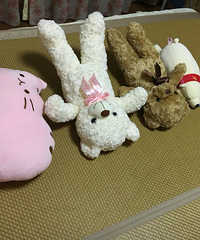 ����������ʼ�Ͽ���