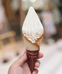 KFC���������� ȫ�㽭�ͼ�����ط��У�ȫ��7��֧ ����Ϊֹ