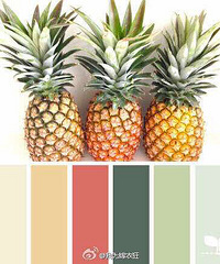 �Ը�����ɫ���޷�����