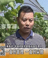 ƽ��ʱ�ֹ�ũ��40����������ֱ�����²���ֱ������ɶ��