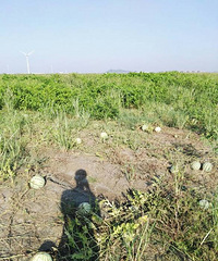 ʣ�������û��Ҫ