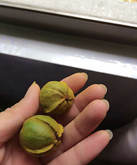 ��һȦ������