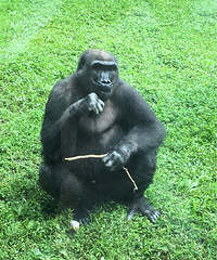 ������˭������