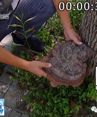 ׬���ˣ���������·���ڵ�����������˵���ټ�ֵ��������