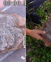 ��������·���ڵ������� ��˵ֵ��������