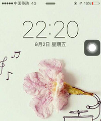 ɹ�ֻ�����