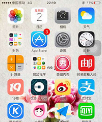 ɹ�ֻ�����