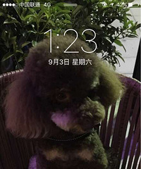 �ֻ�����