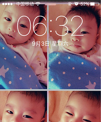 ɹ�ֻ�����