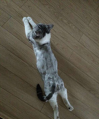 �ؼҺ󿴵���һĻ