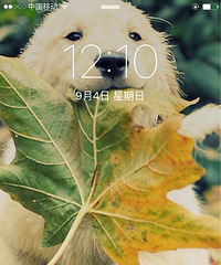 �ǰͿ���������