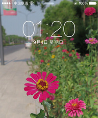 ��������֤���ҵĴ��ڣ������ǰͿ������ģ����Ǹ���