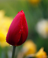 �����Ϻ����커�յ�ַ������