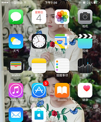 ɹ������