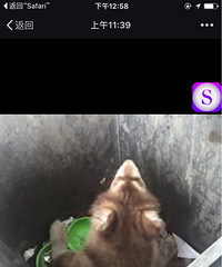 �ȹ��ȹ��ȹ��������Ĺ���