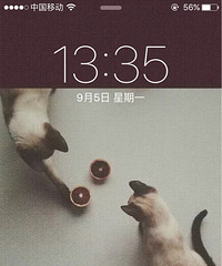 �ǰͿ� ������