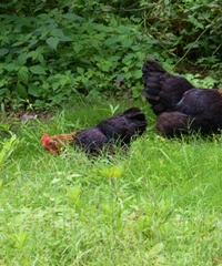 �峿�ĵ�һ��