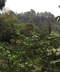 �����ϼ�