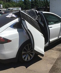 ��˹����ӥ���š��������������лƹϣ�