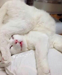 �����й滮���˱�������� ��Ů�����Զٷ����±�