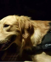 G20���������ǻؼ҆�